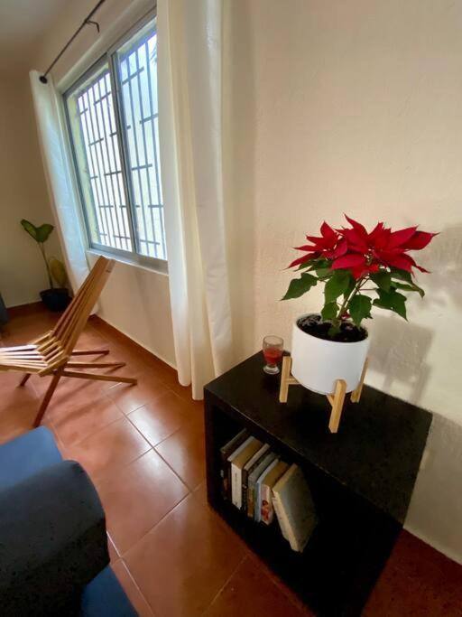 Peach35 Apartamento Centrico, 5 Min De La Playa カンクン エクステリア 写真